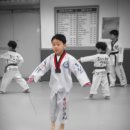 용인대용전태권도 이미지