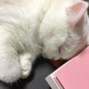 우리공작소 이미지
