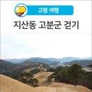 타임머신 | [고령 여행] 2022 세계유산 등재를 기원하며 '지산동 고분군' 걷기