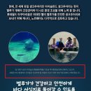 롯데는 흰고래 방류 약속 이행하라! 이미지