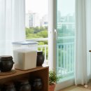 하나로마트 서안성농협본점 | 오늘의 밥상, 프리미엄 쌀 브랜드 취향안성 여리향으로 차린 한 끼