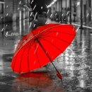 6월20일 뉴스브리핑 이미지