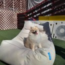 멍돌하우스 이미지