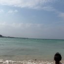 재연목장 이미지