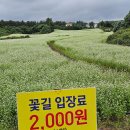 메밀꽃 화장실 이미지