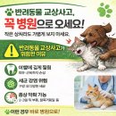 아델동물병원 이미지