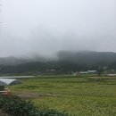 임대길농장 네이버블로그