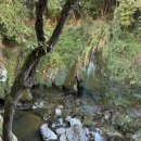 별마을 | 협곡 투어(Get Your Guide), 니스 맛집 La Vela, Di Plu 후기, 별이 지지 않는 마을 무스티에 생트마리