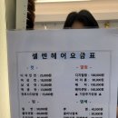 셀렌헤어 이미지