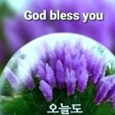 샬롬 이미지