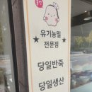 몰랑몰랑식빵