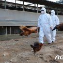 이종현농장 이미지