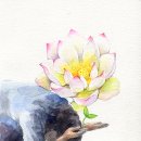 영정농장 이미지