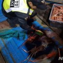 동해-단속-27 이미지