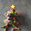 한양화로안중점 | loveyouholdyougiveyoualligot