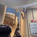 천사상미술관 | 로마 바티칸 투어 후기(바티칸 미술관, 시스티나 성당, 성베드로광장)