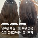 미래산업노동조합 | 천안 염색 후기 얼룩진 머리 컬러 맞춤 성공한 CHOP HAIR 천안점
