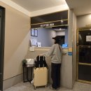 브라운도트사상르네시떼점 이미지