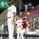 소사 이미지