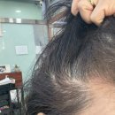 헤어21C | 안산천연염색 전문 "아비가일" 뿌염+핫오일 헤어팩