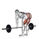 필로스짐 이미지