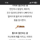똥방구 이미지