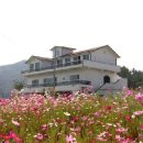 해수욕장언덕위펜션 이미지