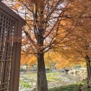 서전주 졸음쉼터 이미지