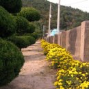 축산항초등학교 이미지