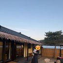 스테이 고대 | [애견동반펜션]스테이고대 내돈내산 재방문 후기