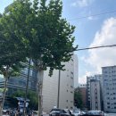 주가네쌀떡볶이