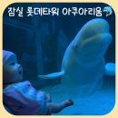 아디다스롯데진주점 | 아쿠아리움 위치 및 주차 | 아기와 같이가기 좋은 실내장소 롯데아쿠아리움에서 벨루가 만나고 온 후기