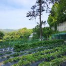 안성농장 이미지