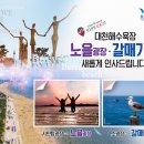 대천해수욕장 시민탑광장 이미지