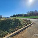 바당 미술관 이미지