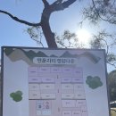 연꽃자리 캠핑타운 이미지