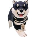 시바(SHIBA)