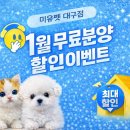 미유펫대구강아지고양이도그플러스동물병원