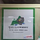 강원특별자치도 영월군 주천면사무소 | 영월 여행 맛집 추천, 강원산우리재래돼지 방문 후기 (내돈내산)