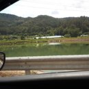 도채낚시터 이미지