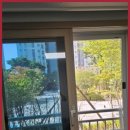 더갓 | 목포단열 벌레 스트레스 에너지잡고 목포점으로 날려버렸어요