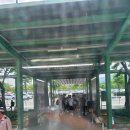 자유로카 | [베트남] 바나힐 자유로 가는법! /4인가족 경비