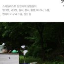 굿바이마켓 이미지