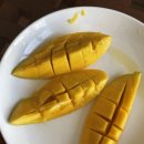 홀인원주유소 | [치앙마이🐘5일차] No.39 cafe, 왓우몽 사원, 란나 골프클럽 2층 식당, 마야maya몰, 쏨땀우돈, 공항 간식...