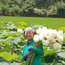 평화랜드 이미지