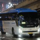 프라임항공여행사