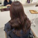 헤어비 이미지