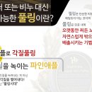 뷰티풀링