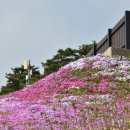 산청-조각공원 ! 이미지