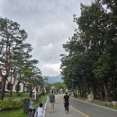 햇빛농장 | 속초 고성 가볼만한곳 : 켄싱턴 설악밸리 사슴농장 후기🦌
